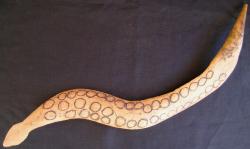 Bush Snake