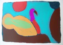 Cassowary