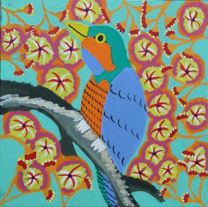 Birds that live around Yuendumu